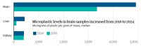 brain microplastic increase 2025